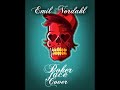 Click here to watch this video Emil Nordahl - Pokerface, cover