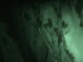 mysterious-world-sea-monster.html