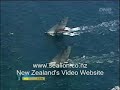 bmw-oracle-americas-cup.html