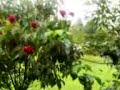 trip 2 kerala
