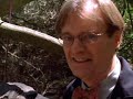 NCIS' DUCKY
