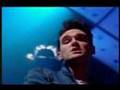 The Smiths - Shoplifters of the world unite