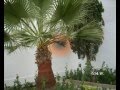 Paseando por Baena 1