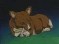 Cowboy Bebop AMV: The Seatbelts - What Planet Is This?!