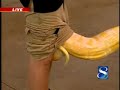 Snake Gets Stuck In Anchor\ Snake Gets Stuck In Anchor\