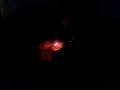 MOV00495