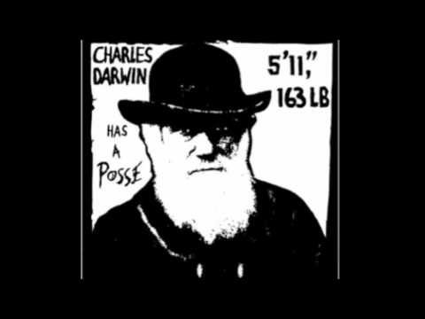 Darwin - Artifacts (Original Mix)
