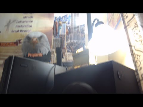 動画