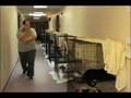 Humane Society Programs & Services