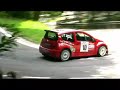 Rally città di Schio 2008