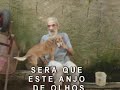 ABRIGO DE CÃES DO SR OSCAR ABRIGO DE CÃES DO SR OSCAR