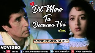 Dil Mere Tu Deewana Hai-Sad  Amitabh Bachchan &