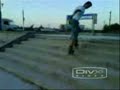 Craiova Rollers - Lapus