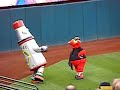 Mascot Fight