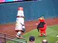 Mascot Fight