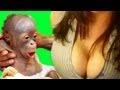 CLEAVAGE MONKEY