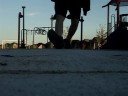 [F][S][C]Walkers