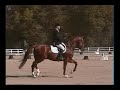 Worthy Opponent Trot at the 100-Day Test!