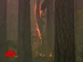 9 Presumed Dead in Wildfire Chopper Crash