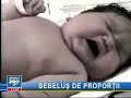 bebelus gigant