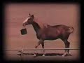 Elko, Nevada - Horse Racing