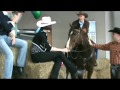 2012 Equifest Video by Rusty Eck Ford