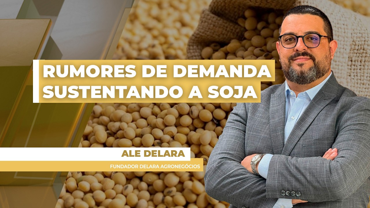 Soja fecha mais uma sessão em alta na Bolsa de Chicago com estímulo dos rumores de compras...