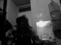 Razor rider freestyle