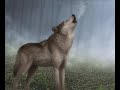 Wolf Song