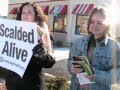PETA Demonstration 2