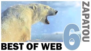 Best Of Web 6