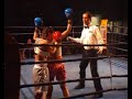 kick boxing pro