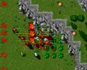 tibia pk titania bing bang dead