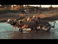 India 2020 A Vision