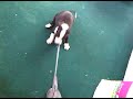 VID 00002-20091130-1201.3GP