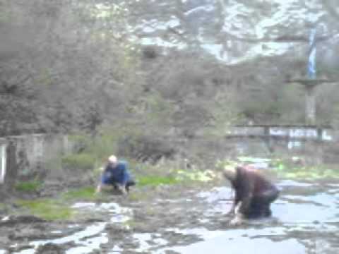 Youtube Video 1-IPvUpZYGw