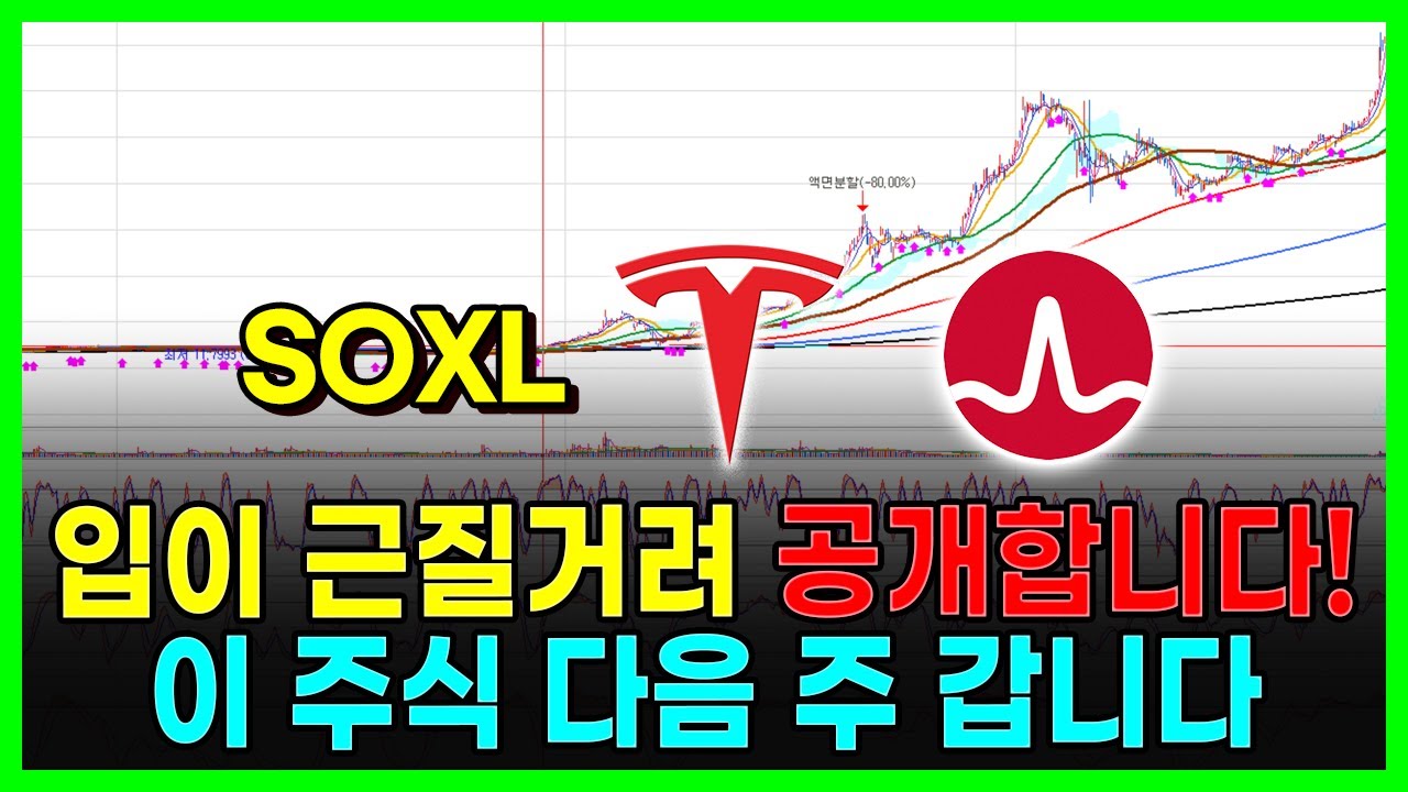 입이 근질거려 공개합니다! 이 주식 다음 주 갑니다. 테슬라 브로드텀 SOXL 엔비디아 애플 알파벳...