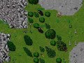 Tibia Abner Jonin And Areb Genin VS Dragy