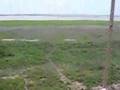 Missão - Joia do Arari