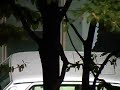 Test SDR-S7 Test SDR-S7