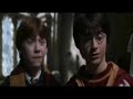 hermione grangers macarena
