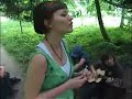 The Cranberries - Linger unplugged-cover