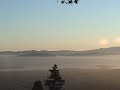 the view