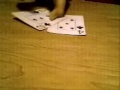A Gay Trick