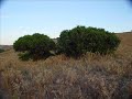 Coro Barbagia - Badde lontana Coro Barbagia - Badde lontana