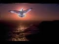 ROBERTO CARLOS - NOSSA SENHORA