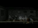Orange Light: Ghost Fluids test