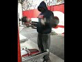 Elitefts.com - Dave Tate's 11-27-09 Training Log pt.4