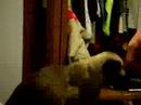 Molly Eats Erik\ Molly Eats Erik\