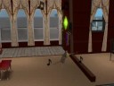 Cat Toy